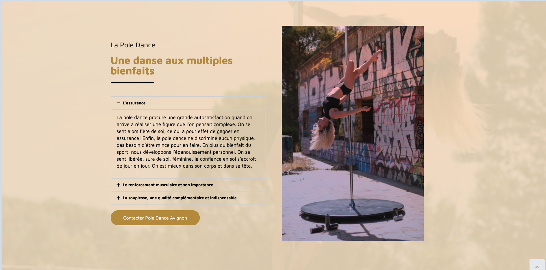 Projet - Sandra Pole Dance